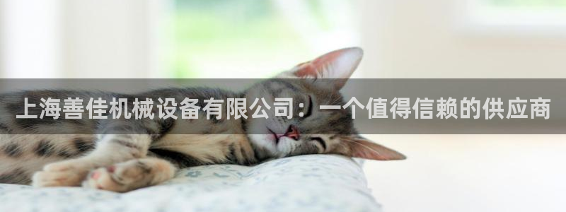 风暴娱乐老板