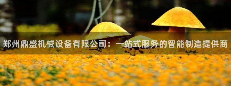 风暴官方娱乐