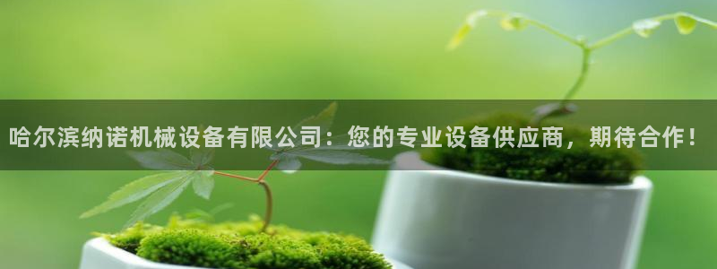 娱乐风暴合集