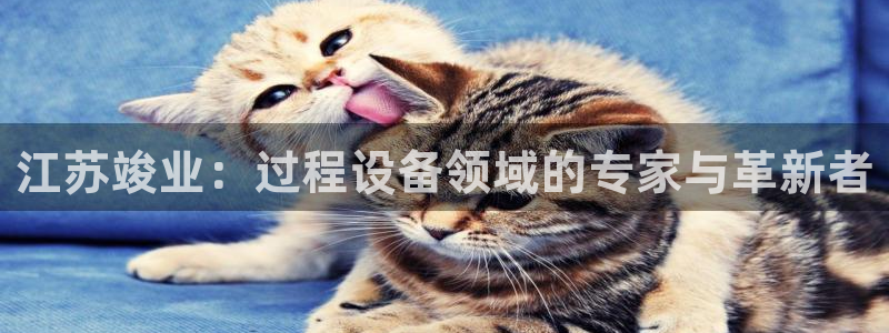 风暴眼娱乐