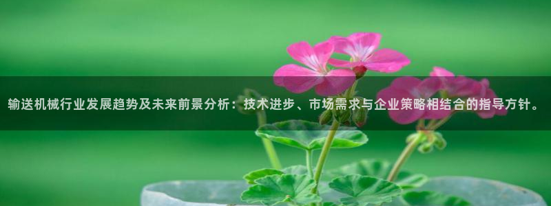 风暴娱乐首页