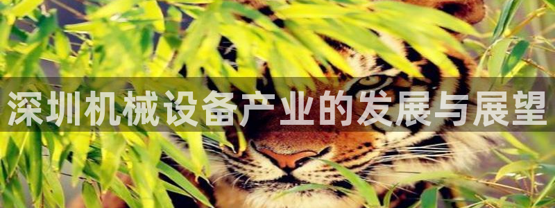 风暴娱乐 风暴注册平台