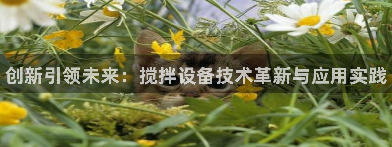 风暴娱乐首页