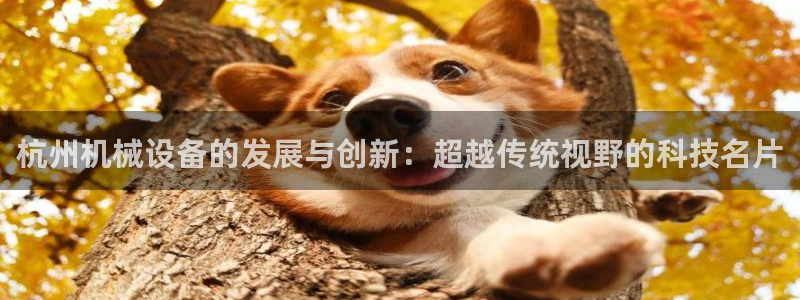 风暴新娱乐