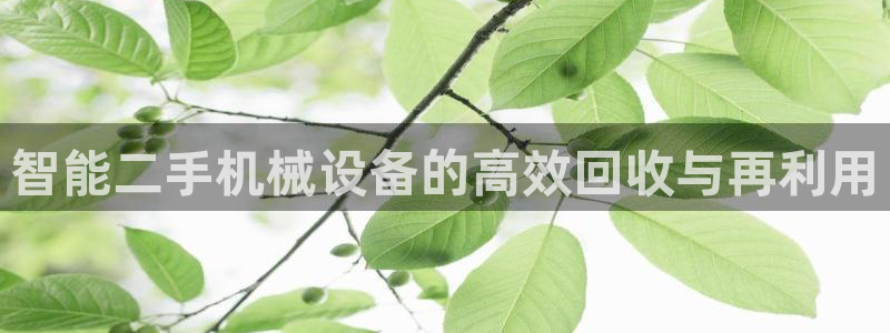 风暴娱乐字图片大全