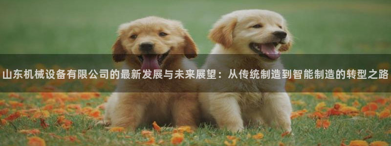 风暴娱乐实况