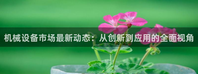 风暴眼娱乐