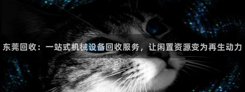 娱乐风暴合集