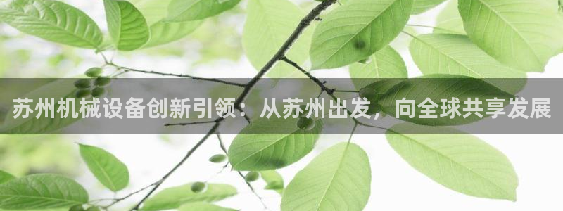 娱乐风暴系统