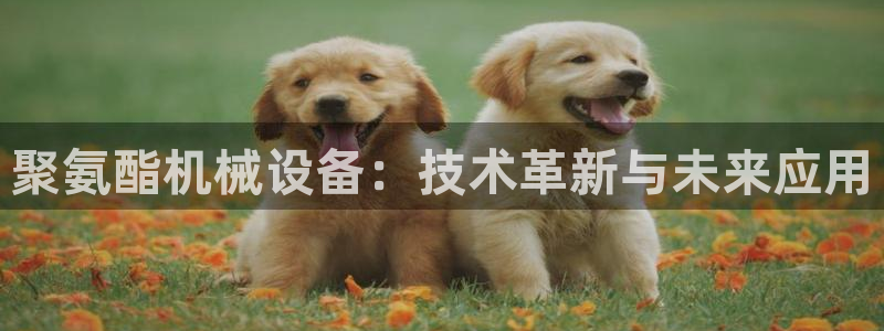 风暴娱乐求333OOc
