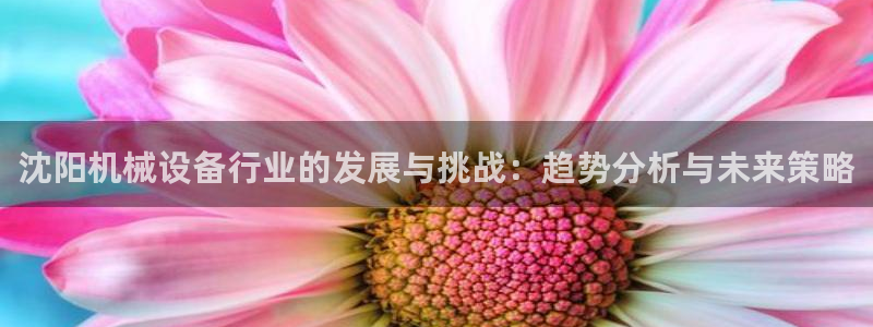 风暴娱乐求333OOc
