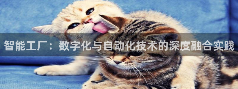 风暴娱乐fb