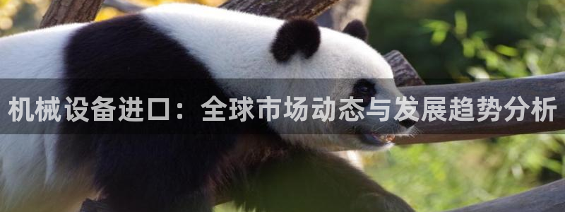 风暴娱乐客服