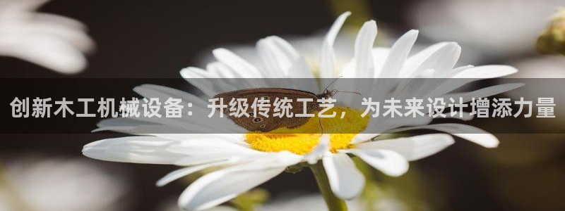 风暴娱乐拉菲8