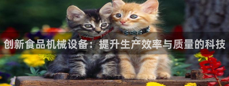 风暴娱乐5O6917