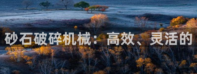 风暴娱乐乃六七五一38