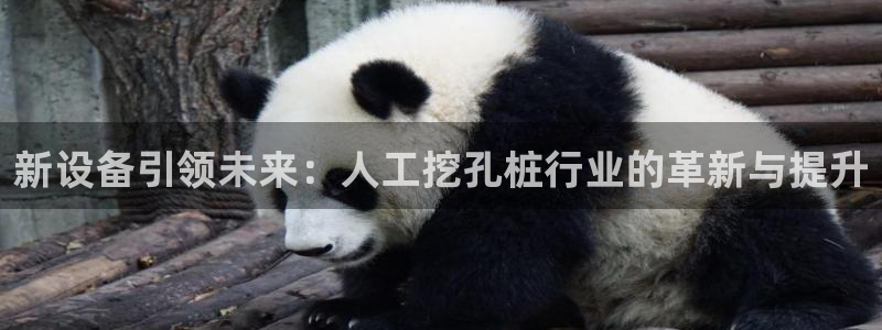 菲律宾风暴娱乐集团