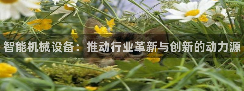 风暴娱乐平台地址