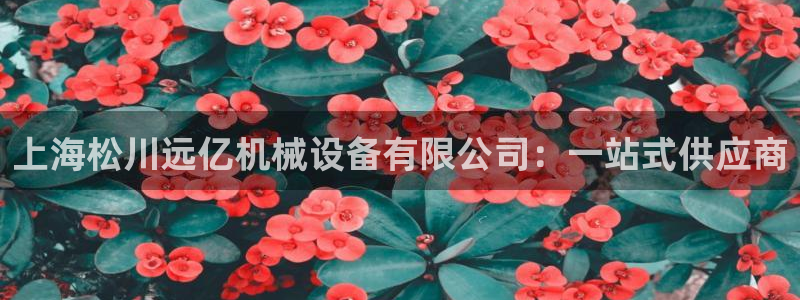 风暴娱乐求333OOa