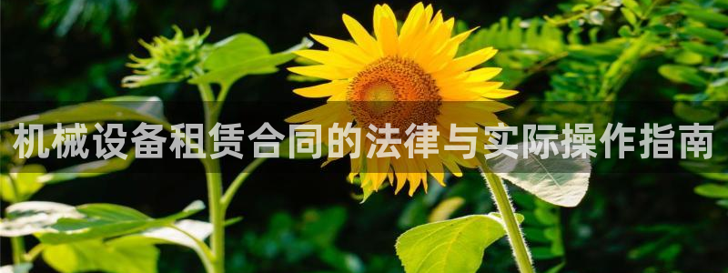 蓝色风暴娱乐