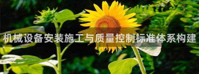 风暴娱乐银川