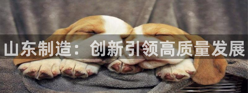 风暴娱乐 平台首页