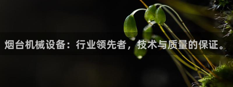 风暴娱乐右5指尖