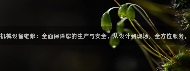 菲律宾风暴娱乐集团