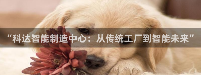 风暴娱乐地5指尖