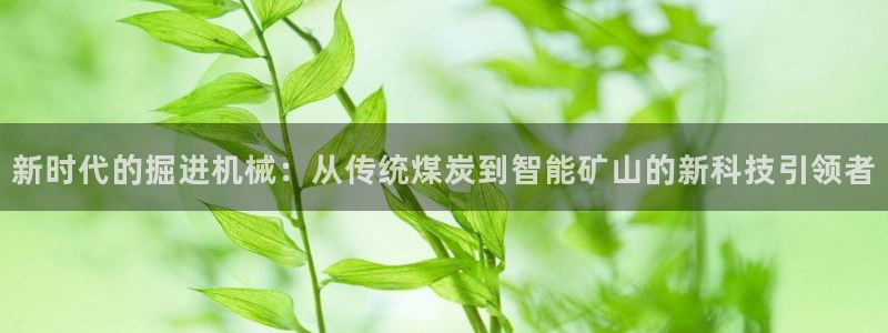 风暴娱乐官方网站