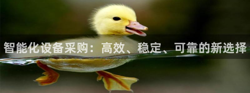 风暴娱乐有5指尖