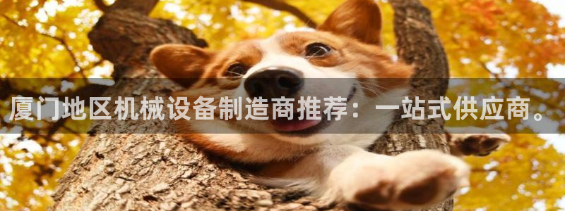 风暴娱乐主管是谁