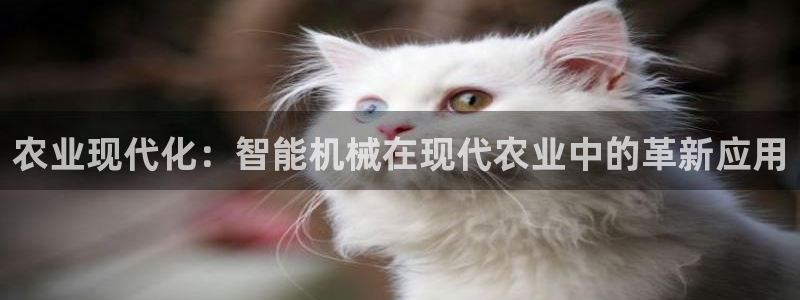 风暴娱乐主管是谁